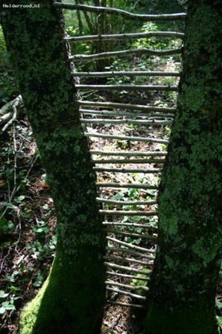 Land art 1